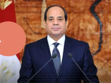 السيسي: لبيت نداء المصريين وعقدت العزم على الترشح لولاية جديدة - وكالة ستيب نيوز