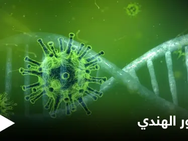 المتحور الهندي يصل لعدد من الدول العربية.. ومسؤول سوري هناك طريقتين لدخول الطفرة لبلدنا - وكالة ستيب نيوز