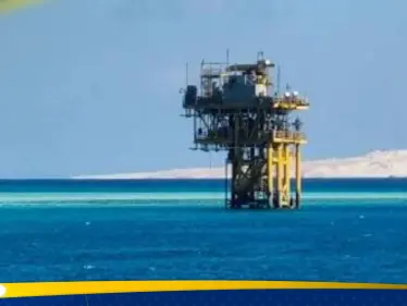 شركة مصرية كويتية تسجل إنجازاً لأول مرة منذ 1982 - وكالة ستيب نيوز