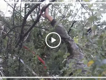 بالفيديو|| بأعوامه الـ13.. طفل سوري يعيل عائلتين من جمع الحطب! - وكالة ستيب نيوز