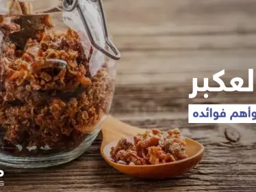 فوائد العكبر للرجال وزيادة الخصوبة هل هي حقيقة أم خرافة إليك أهم المعلومات - وكالة ستيب نيوز