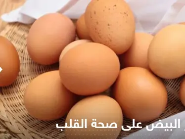 دراسة تكشف تأثير البيض على صحة القلب وتقدم إجابة "غير متوقعة" - وكالة ستيب نيوز