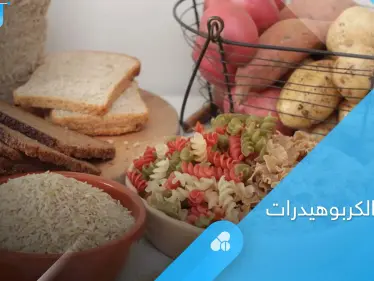 ما هو رجيم الكربوهيدرات وما هي سلبياته إليك أهم المعلومات - وكالة ستيب نيوز