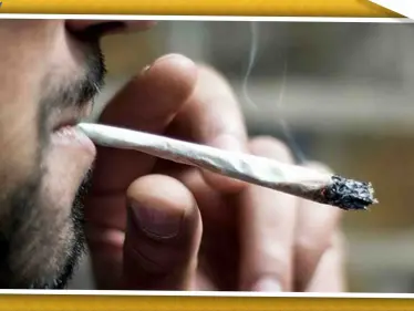 "التحشيش" بشكل يومي يزيد خطر الإصابة بمرض خطير .. تعرّف إليه - وكالة ستيب نيوز