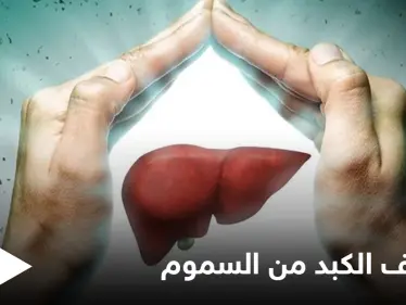 تنظيف الكبد من السموم.. تعرف على الأطعمة التي تساعد على أداء هذه العملية - وكالة ستيب نيوز