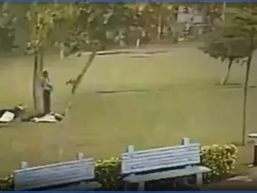 كاميرا مراقبة توثق لحظة صعق 4 أشخاص اختبؤوا تحت شجرة في الهند (فيديو) - وكالة ستيب نيوز