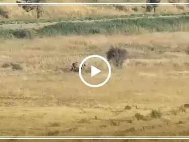 فصائل المعارضة تستهدف مجموعة لقوات النظام بصاروخ مضاد للدروع غربي حماة (فيديو) - وكالة ستيب نيوز