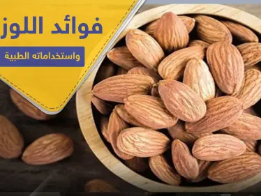 فوائد اللوز المر واستخداماته الطبية.. ومضاره وآثاره الجانبية - وكالة ستيب نيوز