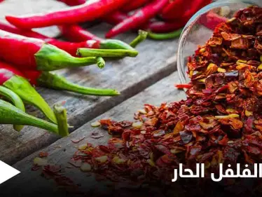 تعرف على فوائد الفلفل الحار وخواصه الغذائية والعلاجية - وكالة ستيب نيوز