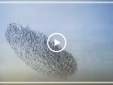 بالفيديو || أهالي أحد المدن التركية يستفيقون على هذا المشهد الذي غطى السماء - وكالة ستيب نيوز