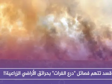 قسد تتهم فصائل "درع الفرات" بحرائق الأراضي الزراعية!! - وكالة ستيب نيوز