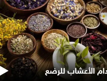 هل من الآمن استخدام الأعشاب للرضع وكيفية استخدامها إليك أهم المعلومات - وكالة ستيب نيوز
