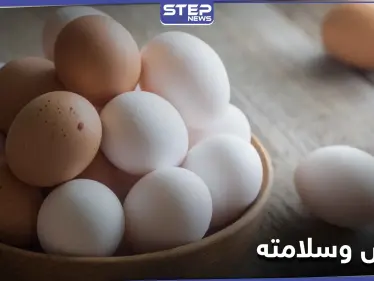 أخطر على صحة الإنسان من السم.. 6 أنواع من البيض يحذر الخبراء منها - وكالة ستيب نيوز