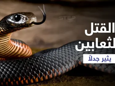 مجرمون يلجأون لـ "الثعابين" لقتل ضحاياهم يثيرون جدلاً بالهند والقضاء يفضح أمرهم ويتربص بهم - وكالة ستيب نيوز