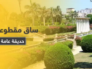 العثور على ساق لفتاة مدفونة في حديقة عامة وسط حلب والطب الشرعي يوضح - وكالة ستيب نيوز