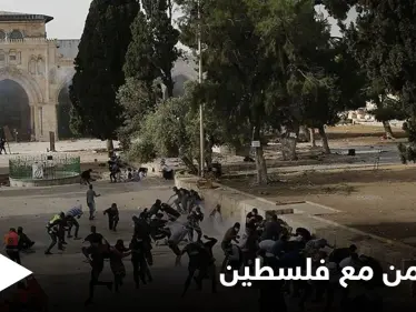 "فلسطين" تتصدر منصات التواصل الاجتماعي في مصر ولبنان ودول عدة بكلمات مؤثرة - وكالة ستيب نيوز