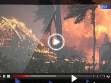 مشاهد "رعب" في هاواي.. عشرات القتلى في الحرائق ودولة عربية تدعو رعاياها للمغادرة بأسرع وقت - وكالة ستيب نيوز