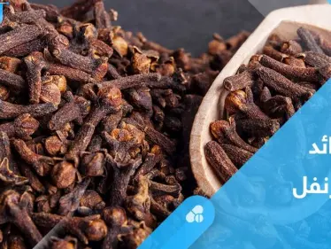 تعرف على فوائد القرنفل الصحية واحذر من أضراره - وكالة ستيب نيوز