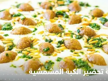 طريقة تحضير الكبة المشمشية خطوة بخطوة لتزيين سفرتك في رمضان - وكالة ستيب نيوز