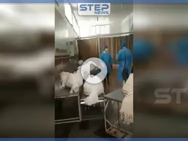 بالفيديو|| مقاطع مسرّبة صادمة من داخل المشافي الإيرانية توثّق المصابين بـ "كورونا" - وكالة ستيب نيوز