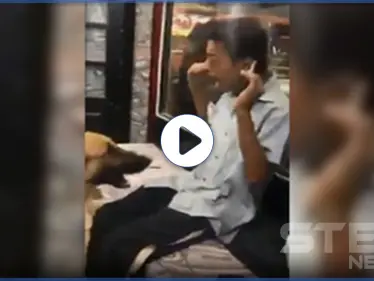 بالفيديو|| متنمرون مصريون يطلقون كلبًا على شاب من ذوي الاحتياجات الخاصة.. والسلطات تتحرك - وكالة ستيب نيوز