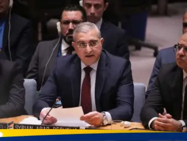 كيف علق مجلس الأمن على التوغل الإسرائيلي في سوريا - وكالة ستيب نيوز