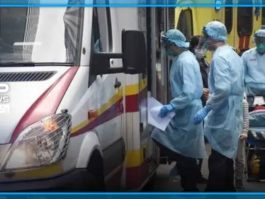 أبحاث صينية: المريض رقم "صفر" بفيروس كورونا مارس الجنس مع هذا الحيوان - وكالة ستيب نيوز