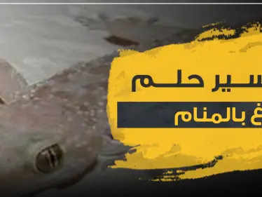 تفسير حلم الوزغ في المنام بجميع دلالاته وحسب ألونه - وكالة ستيب نيوز
