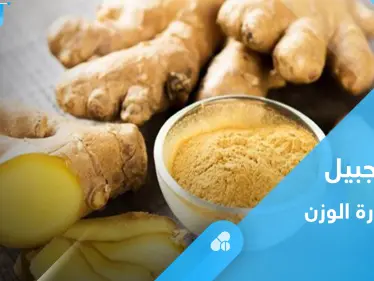 الزنجبيل لخسارة الوزن.. إليك أهم المعلومات - وكالة ستيب نيوز
