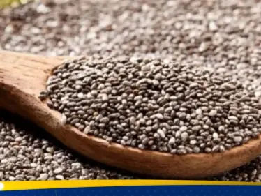 الأطعمة الغنية بأوميغا-3 بعيدًا عن بذور الشيا - وكالة ستيب نيوز