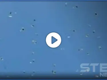 بالفيديو|| طائرة تلقي عشرات أكياس المخدرات وسط تل أبيب.. والسلطات تتحرك - وكالة ستيب نيوز