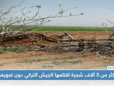 سوريون خسروا أراضيهم وأشجارهم في كلجبرين بريف حلب بسبب الجيش التركي - وكالة ستيب نيوز