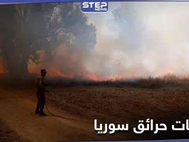 رامي مخلوف يحاول استغلال حرائق الساحل السوري لصالحه.. وفراس طلاس يكذب الأسد - وكالة ستيب نيوز