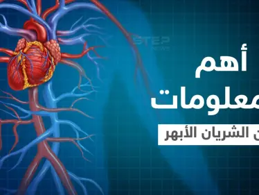 الشريان الأبهر أكبر شريان في الجسم أسباب ضعفه وطرق التخلص من الألم إليك أهم المعلومات - وكالة ستيب نيوز