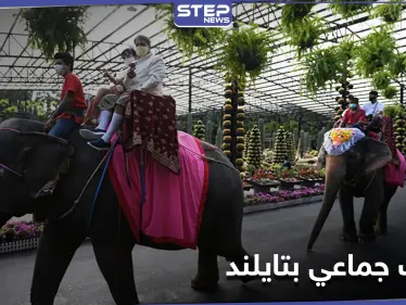 بالصور|| في يوم عيد الحب... زفاف جماعي على ظهور الأفيال في حديقة استوائية بتايلاند - وكالة ستيب نيوز