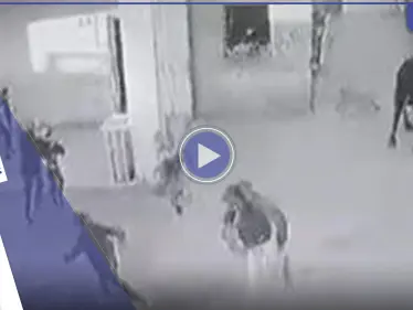 بالفيديو|| غضب في العراق بعد اقتحام ثور هائج لمدرسة ابتدائية في البصرة وتسببه بإصابات بين الطلاب - وكالة ستيب نيوز
