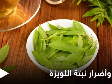 نبتة اللويزة لعلاج الربو وغيره من الأمراض وتحذيرات للمرأة الحامل - وكالة ستيب نيوز