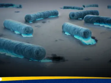 اكتشاف بكتيريا آكلة للبلاستيك في أعماق المحيطات - وكالة ستيب نيوز