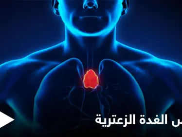 أهميتها كبيرة لصحة الإنسان.. تعرّف على الغدة الزعترية وأكثر أمراضها خطراً وطرق علاجها - وكالة ستيب نيوز
