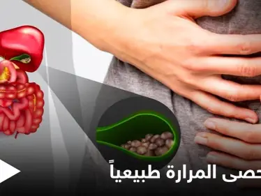 للتخلص من حصى المرارة.. تطهيرها وغسلها بزيت الزيتون إليك الوصفات وأهم المعلومات - وكالة ستيب نيوز