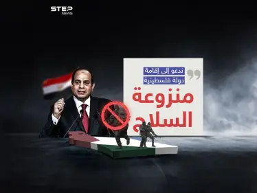 الرئيس المصري: السوريون والعراقيون بلادهم موجودة لن يأخذها أحد والأمر مختلف مع غزة - وكالة ستيب نيوز
