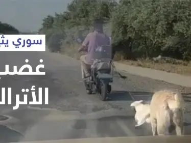 بالفيديو|| لاجئ سوري يربط كلب صغير بدراجته النارية ويجره خلفه وأمه تلاحقه - وكالة ستيب نيوز