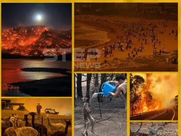 حرائق غابات استراليا - وكالة ستيب نيوز