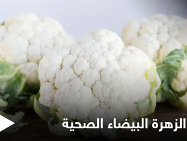 مقاومة للسرطان وتحسن عمل الجهاز العصبي.. تعرف على فوائد الزهرة البيضاء الصحية - وكالة ستيب نيوز