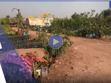 ورثا المهنة عن أبيهما .. حسين وأخيه يديران مشتل للزهور في إدلب رغم الصعوبات - وكالة ستيب نيوز