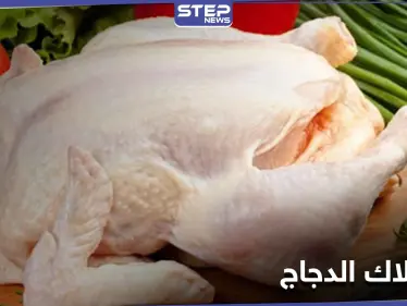 إحذر تناول 4 أجزاء في الدجاج لأنها قد تشكل خطراً على الصحة - وكالة ستيب نيوز