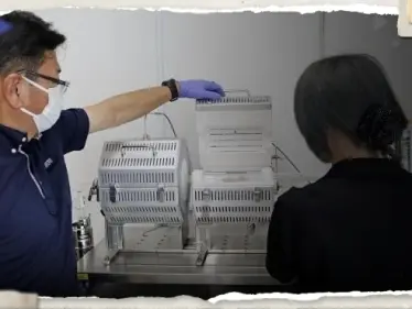 بعد تصريفها مياه مفاعل فوكوشيما.. اليابان تكشف مستوى الإشعاع في البحر - وكالة ستيب نيوز