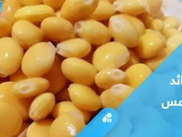 لصحة العظام وفوائد أخرى كثيرة.. تعرف على فوائد الترمس - وكالة ستيب نيوز