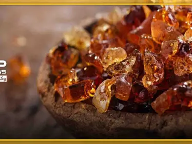 من بينها "السعال ومرضى الكلى والسكري".. نبتة عربية تشفي من عشرات الأمراض المزمنة - وكالة ستيب نيوز