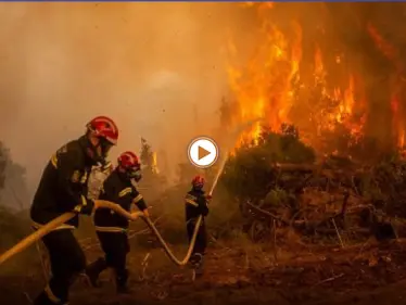 بالفيديو|| جزائريون ينهالون بالضرب على متهم بإضرام النيران.. والحكومة تعقد اتفاقاً مع الاتحاد الأوروبي يتعلق بإخماد الحرائق - وكالة ستيب نيوز